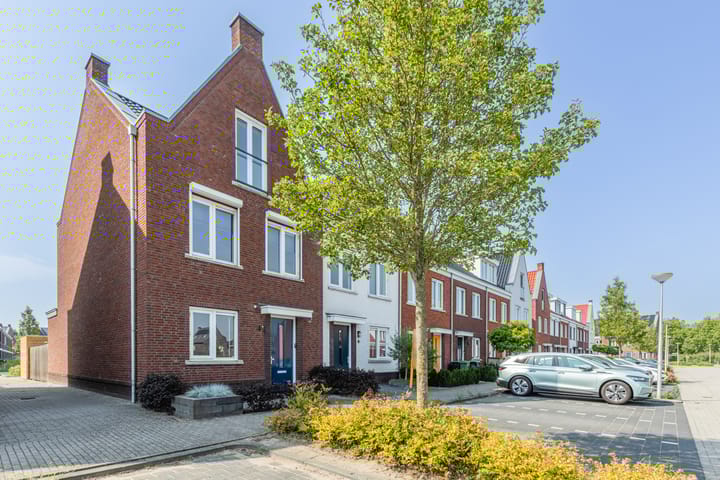 Penningkruid 10 in Bodegraven foto