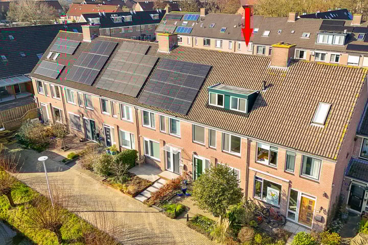 Penningkruid 16 in IJsselstein foto