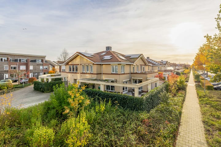 Penningkruid 2 in Tegelen foto