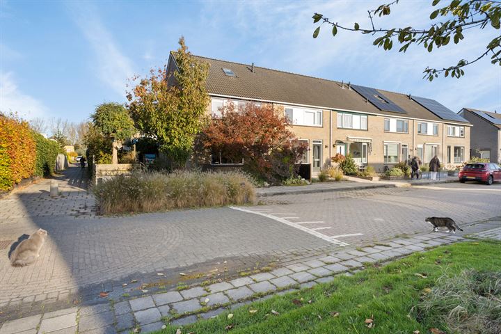 Penningkruid 59 in Sneek foto