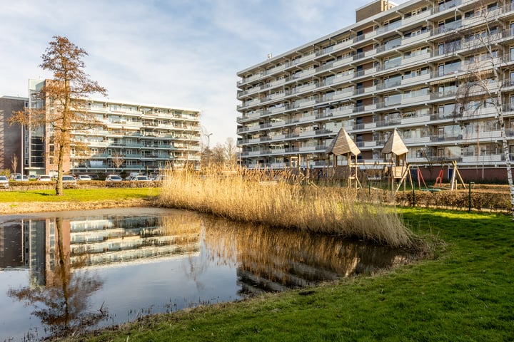 Peppelhorst 18 in Waddinxveen foto