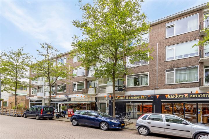 Peppelweg 62D in Rotterdam foto