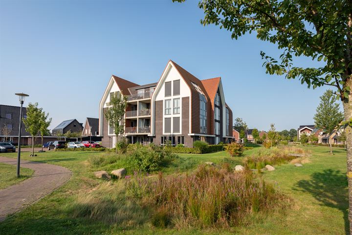 Perzik 3 in Nijkerk foto