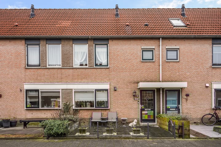 Perzikkruid 10 in Den Hoorn foto