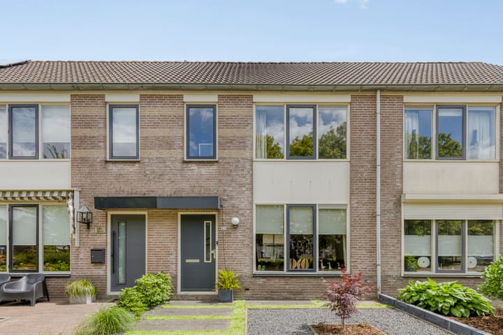 Perzikkruid 28 in Zevenbergen foto