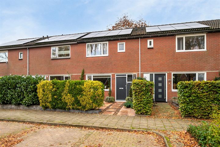 Peter Paulus Rubensstraat 22 in Wolvega foto