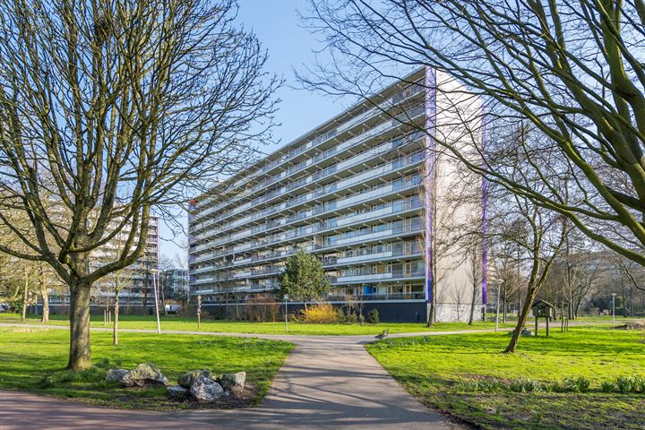 Petmolen 19 in Amsterdam foto