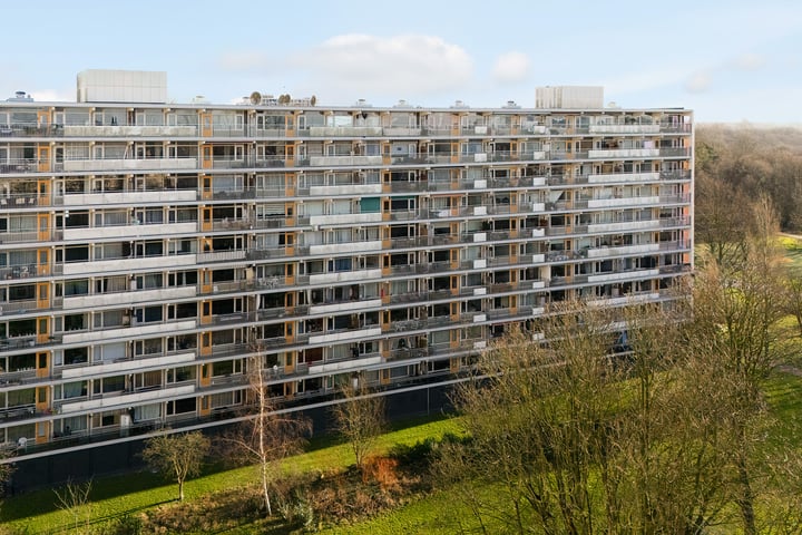Petmolen 57 in Amsterdam foto