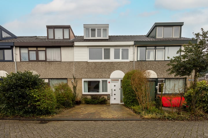 Petuniadal 2 in Leiden foto