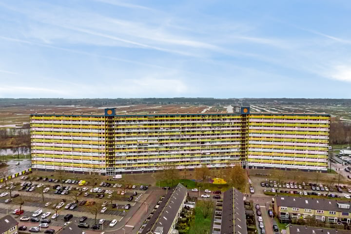 Pharus 173 in Zaandam foto