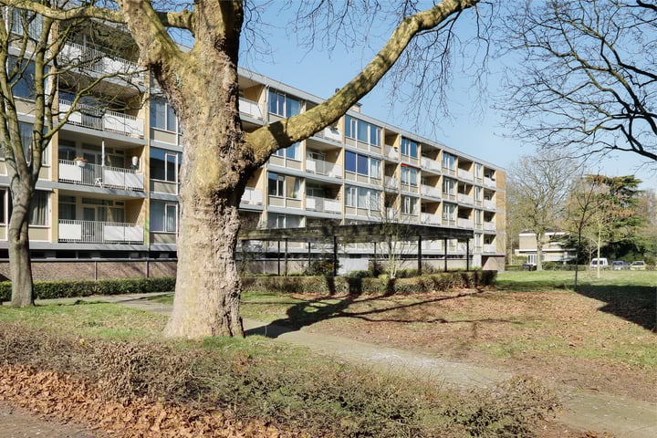 Philippus de Montestraat 48 in 's-Hertogenbosch foto