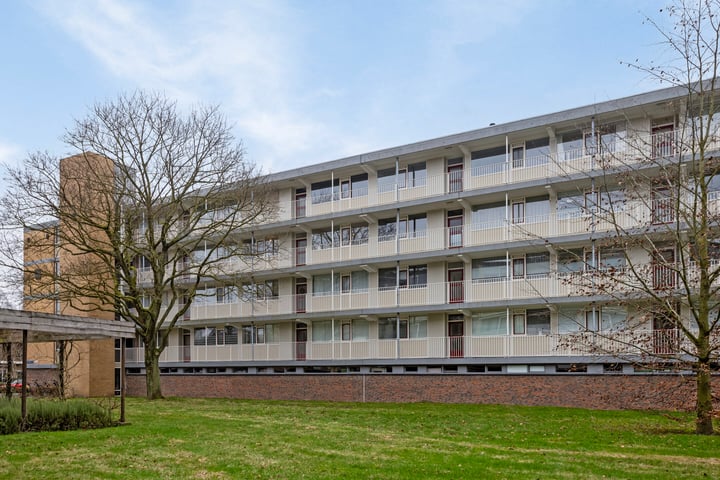 Philippus de Montestraat 60 in 's-Hertogenbosch foto