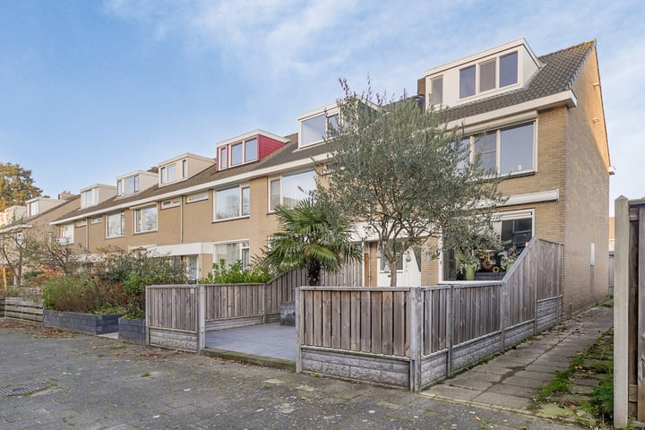 Phobospad 2 in Spijkenisse foto