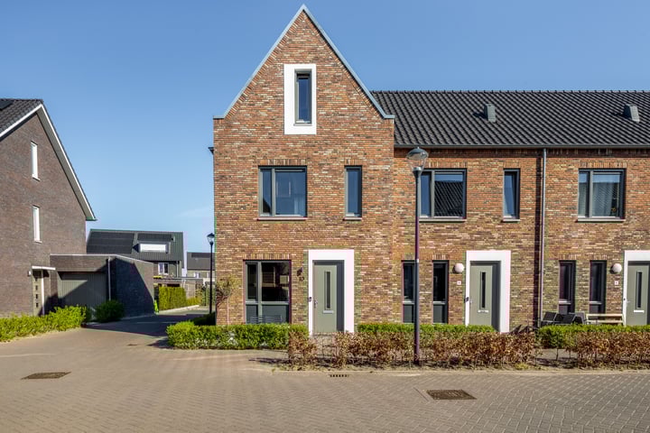 Pijlkruid 10 in Teteringen foto
