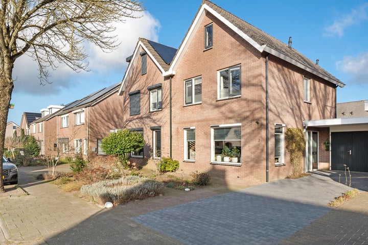 Pijlkruid 3 in Hardenberg foto