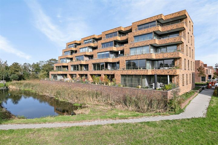 Pijlkruid 4 in Alphen aan den Rijn foto