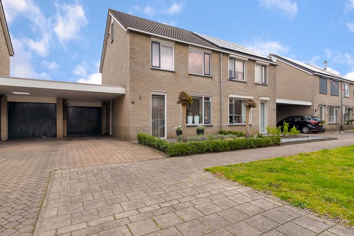 Pijlkruid 61 in Nijverdal foto