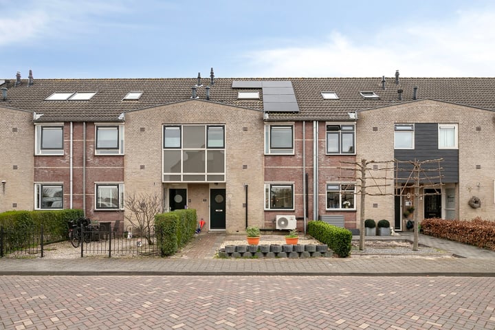 Pijlkruid 7 in Gouderak foto