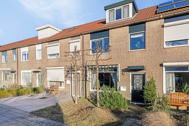 Pimpelmees 48 in Sommelsdijk foto