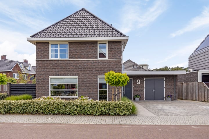 Pimpernel 9 in Nijverdal foto