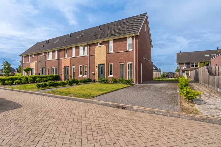 Pimpernel 9 in Nieuw-Buinen