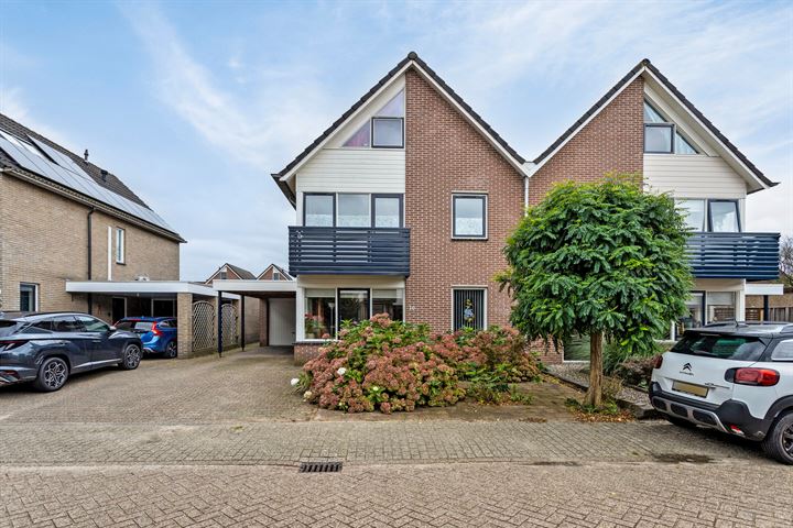 Pinksterbloem 16 in Hardenberg foto