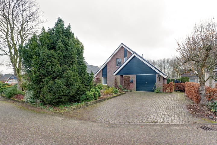 Pinksterbloem 36 in Beilen foto