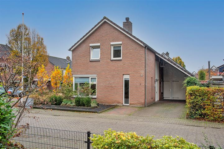 Pinksterbloem 7 in Borne foto