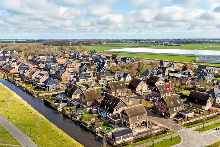 Pinksterbloem erf 16 in Heerhugowaard foto