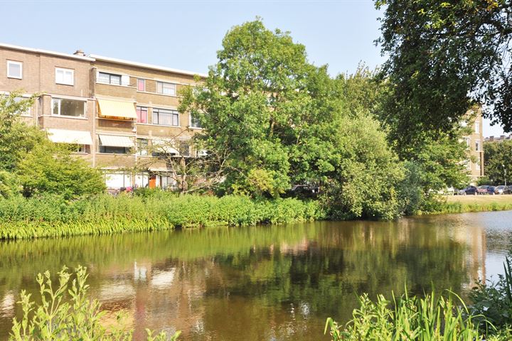 Pinksterbloemplein 23 in 's-Gravenhage foto