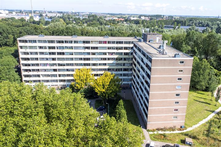 Pinksterbloemweg 211 in Zaandam foto