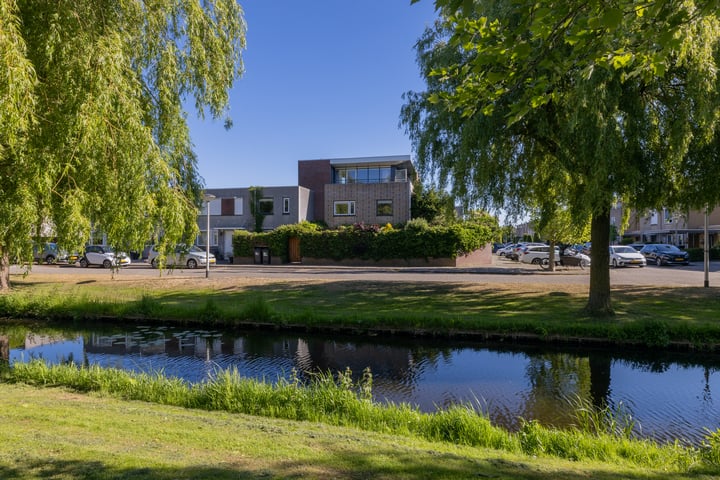 Pioen 7 in Noordwijkerhout foto