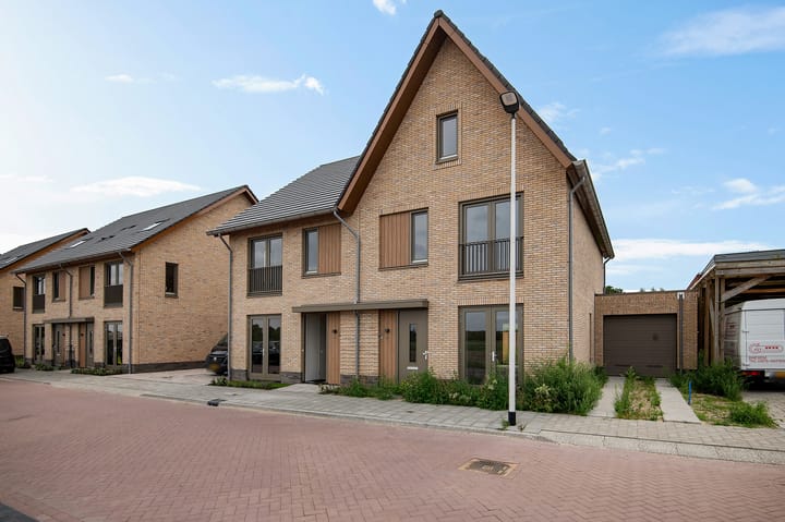 Pioentulp 97 in Hillegom foto