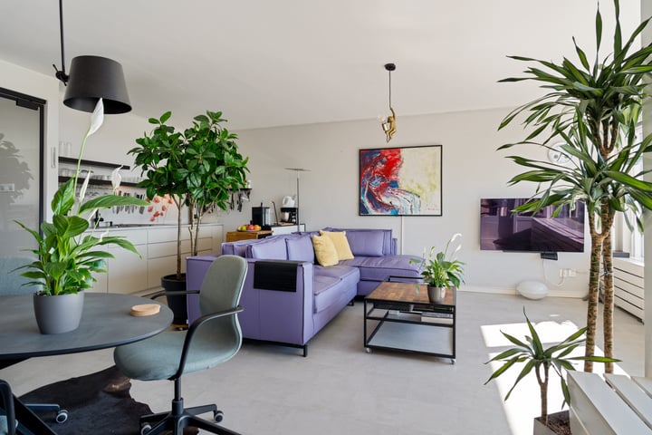 Pisuissestraat 387 in 's-Gravenhage foto