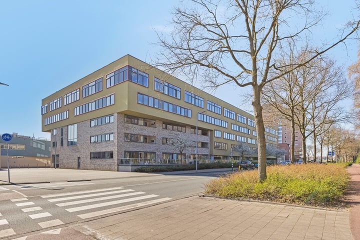 Planciushof 13 in Hoek van Holland foto