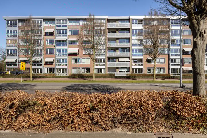 Plantageweg 139 in Zwijndrecht foto