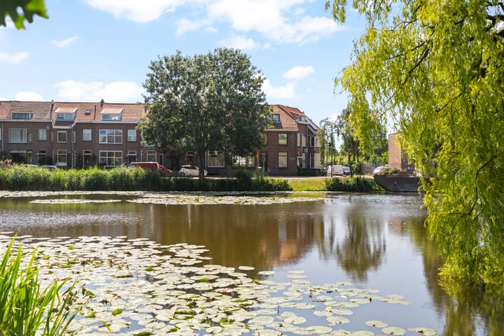 Foto van woning Plassingel 1, Rotterdam