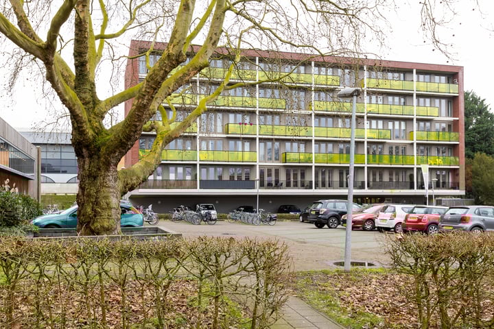 Plataanlaan 15 in Wageningen foto