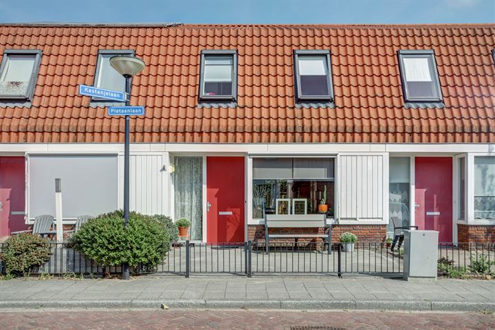 Plataanlaan 61 in Zaandam foto