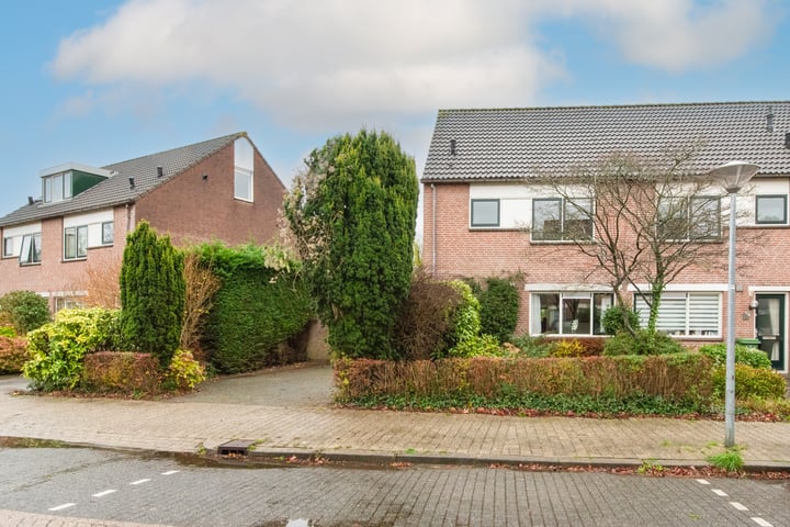 Plevier 39 in Hoorn foto