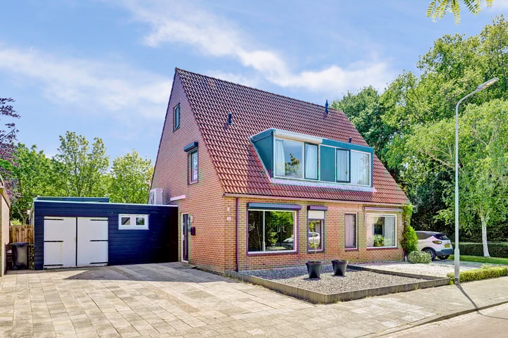 Pluimpot 12 in Hansweert foto