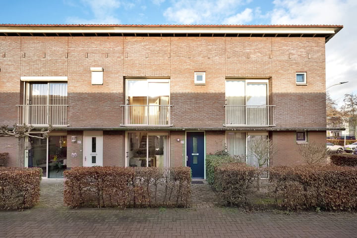 Pluimzegge 29 in Zwolle foto