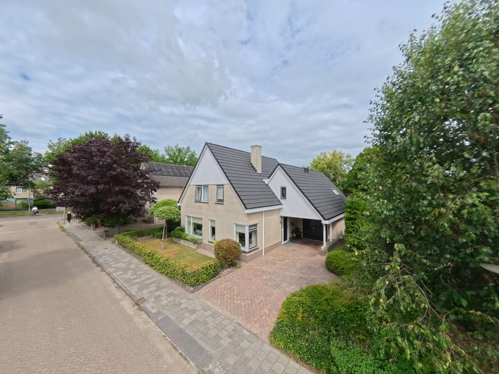 Podzolhamel 3 in Assen foto