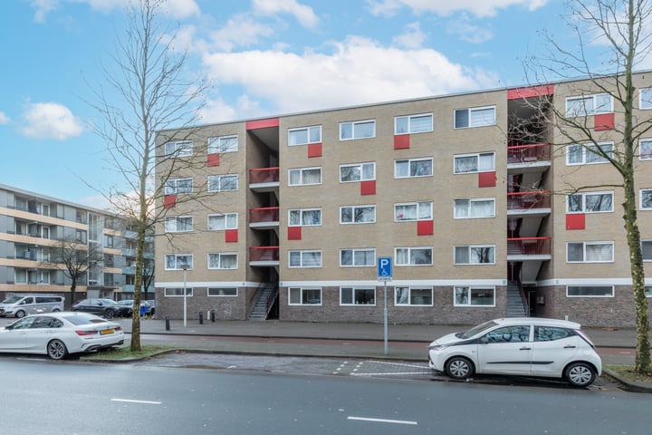 Poelenburg 50 in Zaandam foto