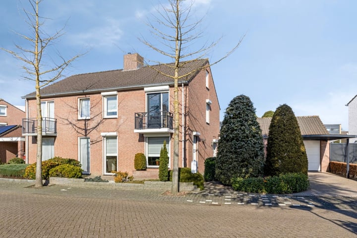 Poelsnip 55 in Budel-Schoot foto