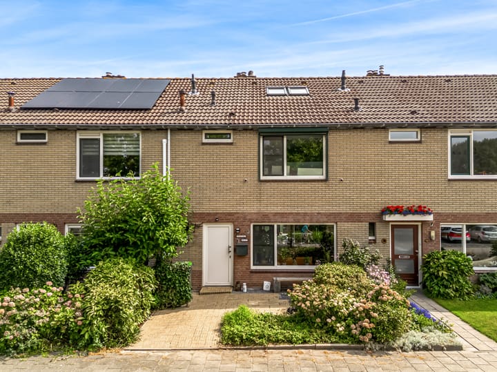 Polderlaan 117 in Geervliet