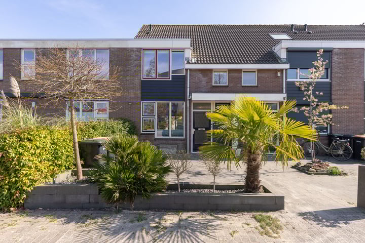 Poldermolen 31 in Hoorn foto