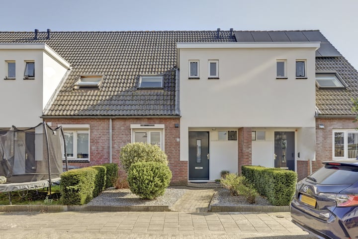 Pomona 52 in Bemmel foto