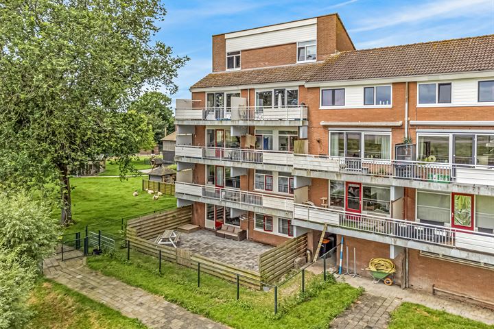 Poolster 135 in Hoorn foto