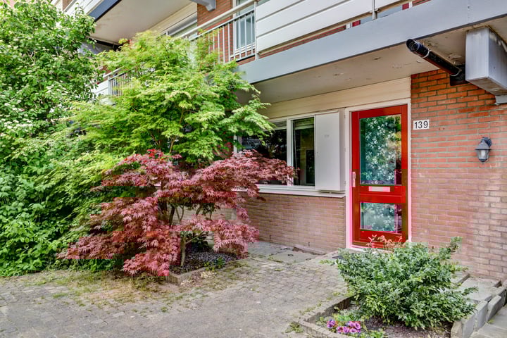 Poolster 139 in Hoorn foto
